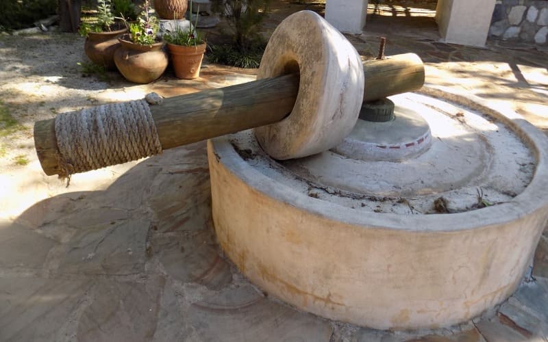 Olive oil history beginning in Greece, Rome and Egypt