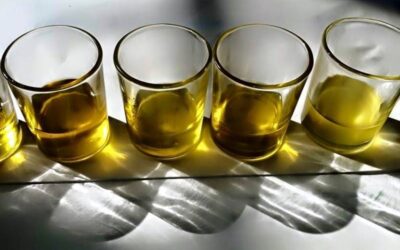 Virgin olive oil versus regular olive oil and the difference